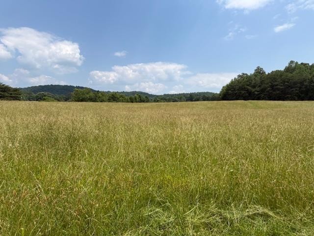 TRACT9 Horton Rd, Quebeck, TN 38579