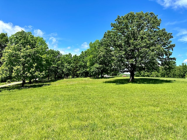 2205 SE Hidden Cove Rd, Cookeville, TN 38506 - photo 23