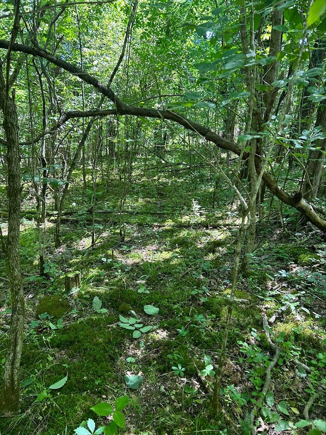 0 Gladdice Hwy, Gainesboro, TN 38562