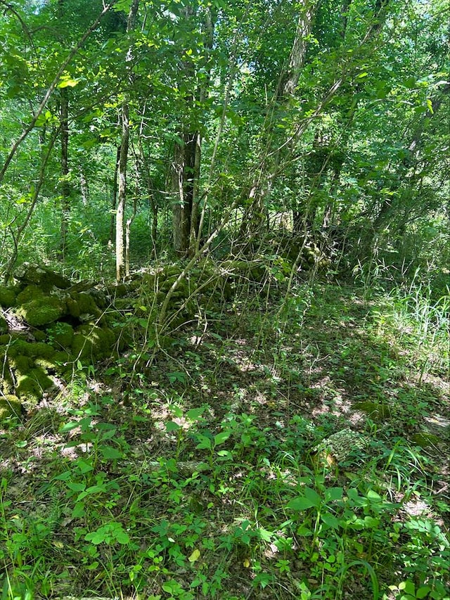 0 Gladdice Hwy, Gainesboro, TN 38562