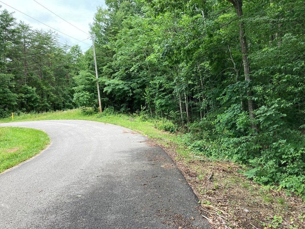 4882 Emerald Rd, Cookeville, TN 38501 - photo 2
