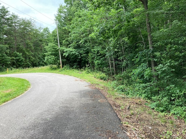 4882 Emerald Rd, Cookeville, TN 38501 - photo 2