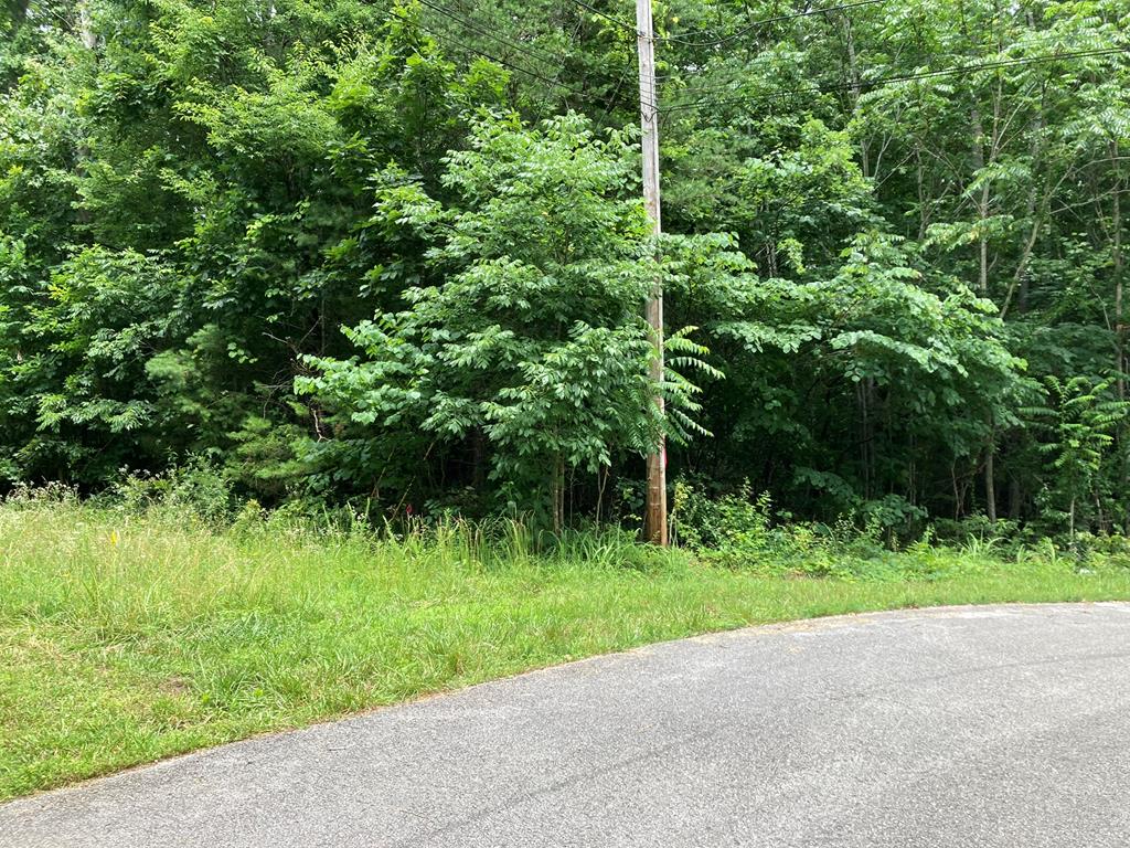 4882 Emerald Rd, Cookeville, TN 38501 - photo 1