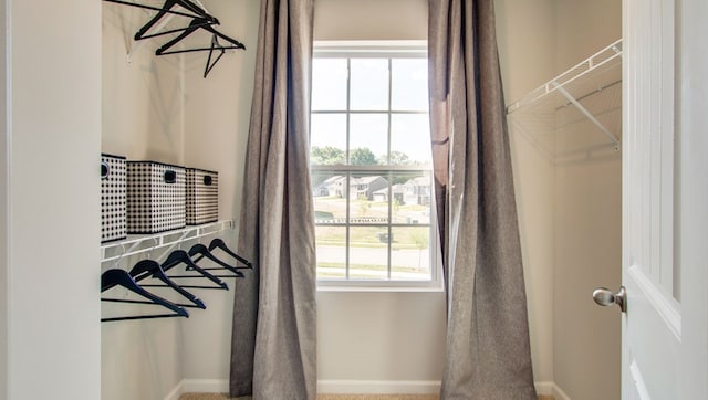 222 Dale Mires Ln, Baxter, TN 38544 - view of spacious closet