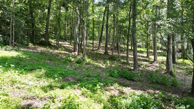 0 Lancing Ct, Smithville, TN 37166 - photo 8