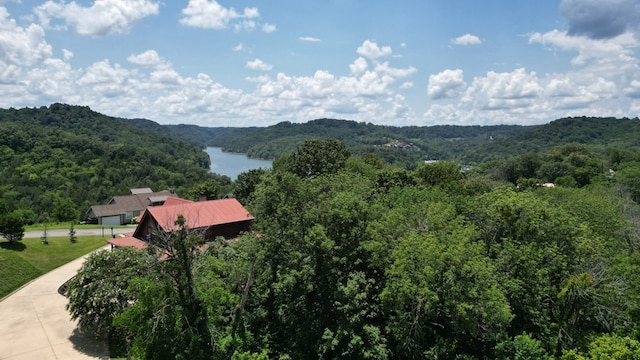 0 Lancing Ct, Smithville, TN 37166 - photo 9