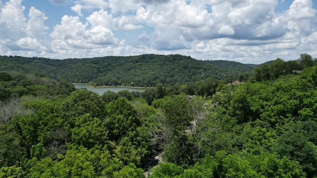 0 Lancing Ct, Smithville, TN 37166 - photo 1