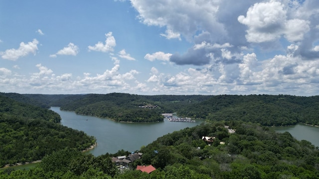 0 Lancing Ct, Smithville, TN 37166 - photo 7