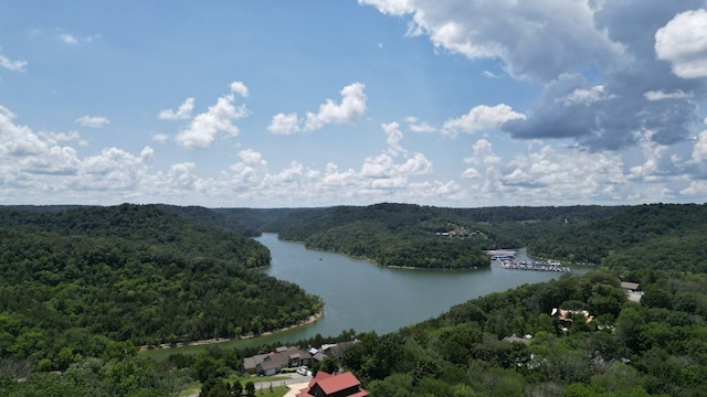 0 Lancing Ct, Smithville, TN 37166 - photo 5