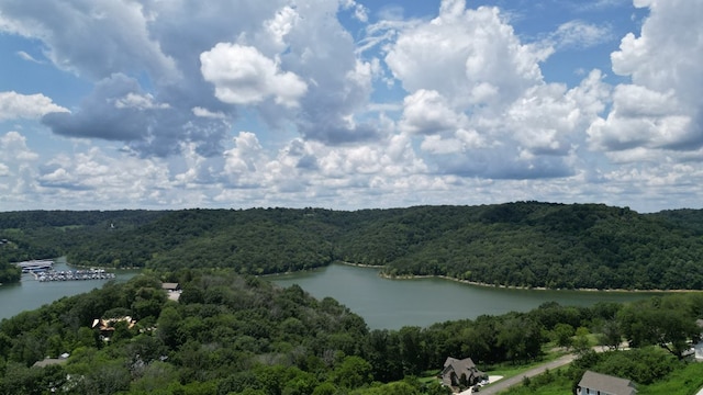0 Lancing Ct, Smithville, TN 37166 - photo 6