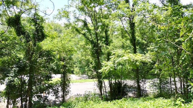 0 Lancing Ct, Smithville, TN 37166 - photo 4