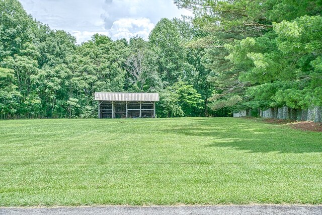 3570 Golden Mountain Rd, Sparta, TN 38583 - photo 39