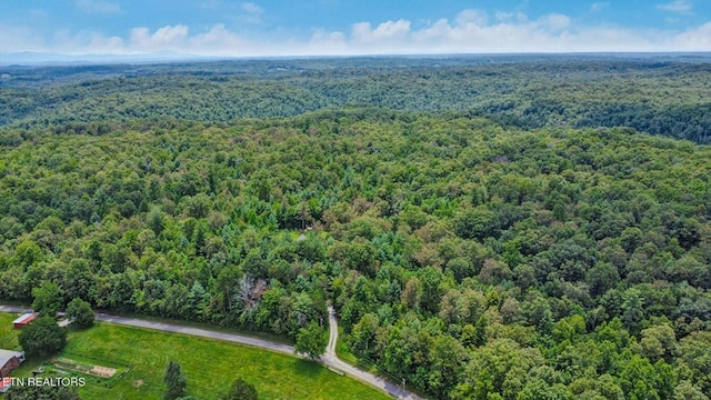2230 Shirley Rd, Allardt, TN 38504 - photo 40