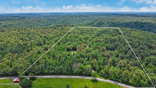 2230 Shirley Rd, Allardt, TN 38504 - photo 3