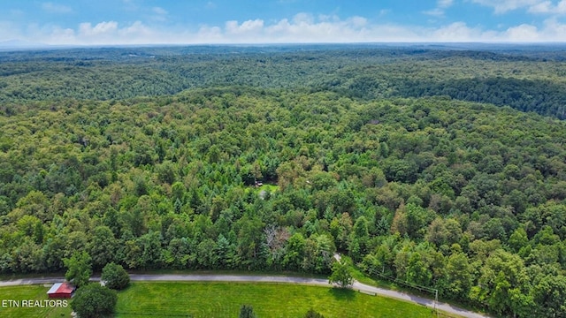 2230 Shirley Rd, Allardt, TN 38504 - photo 39