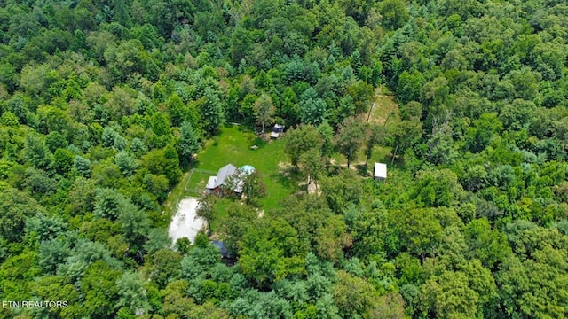 2230 Shirley Rd, Allardt, TN 38504 - photo 42