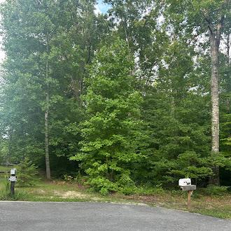 00 Fox Ridge Dr, Grimsley, TN 38565