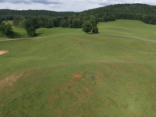 TRACT4 004 Barlow Rd, Spencer, TN 38581