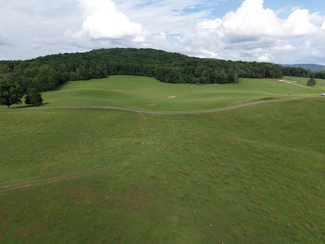 TRACT4 004 Barlow Rd, Spencer, TN 38581