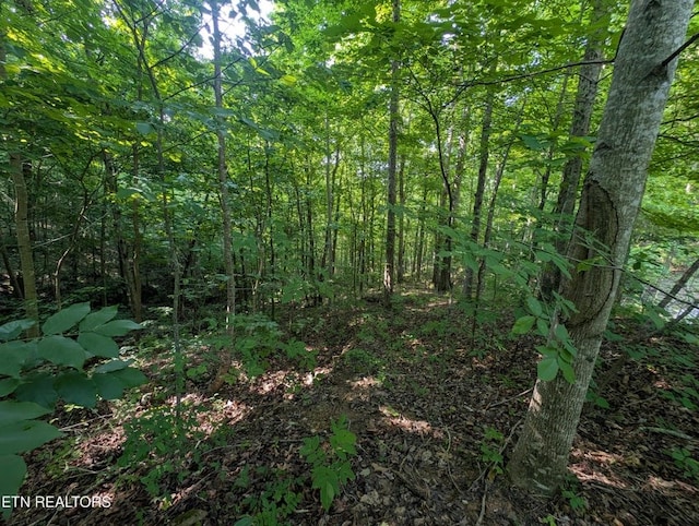 0 Cheyenne Dr, Jamestown, TN 38556