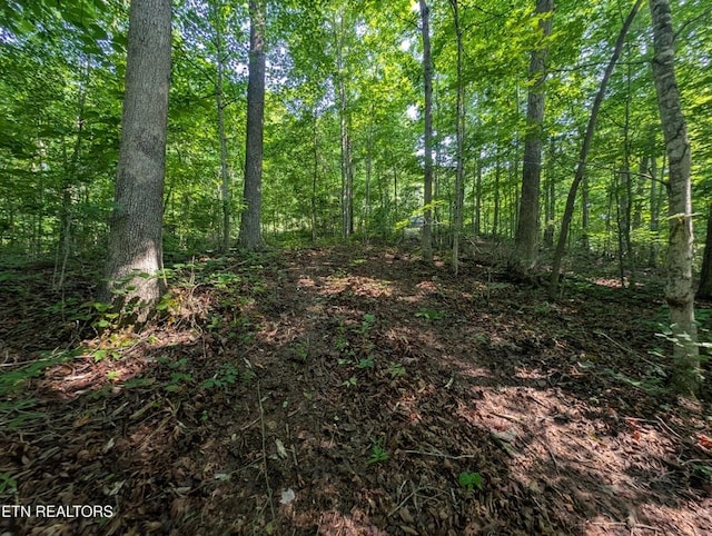 0 Cheyenne Dr, Jamestown, TN 38556