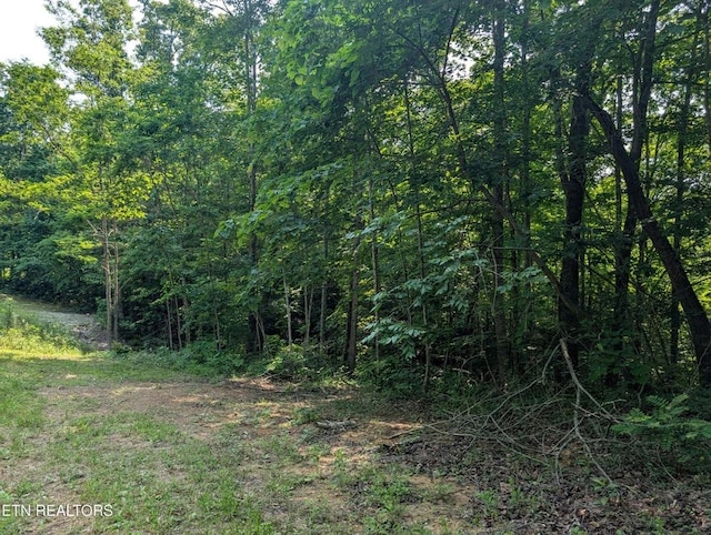 0 Cheyenne Dr, Jamestown, TN 38556