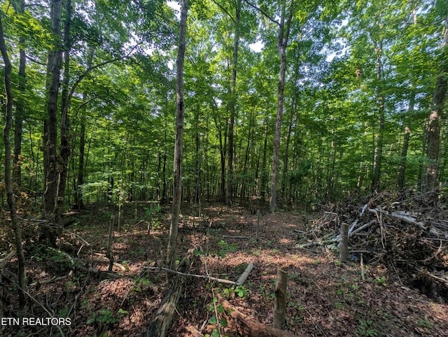 0 Cheyenne Dr, Jamestown, TN 38556
