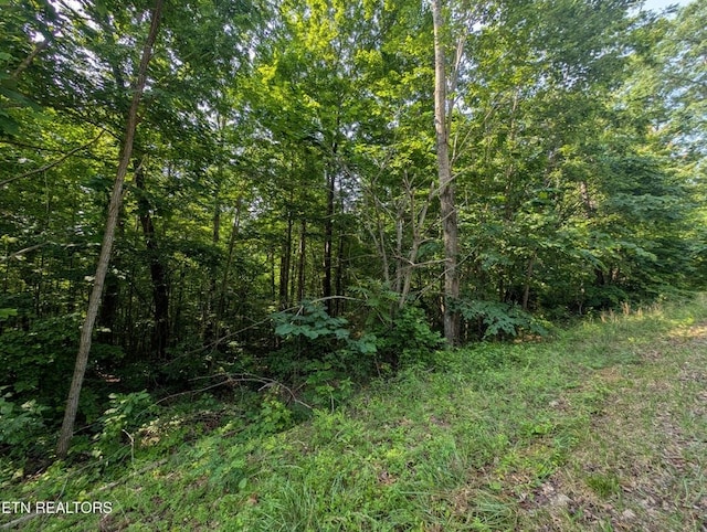 0 Cheyenne Dr, Jamestown, TN 38556