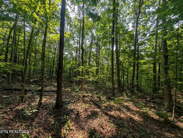 0 Cheyenne Dr, Jamestown, TN 38556