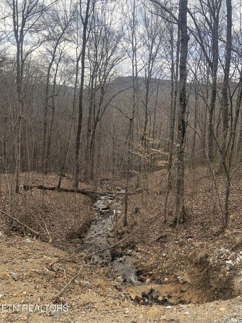 0 Cheyenne Dr, Jamestown, TN 38556