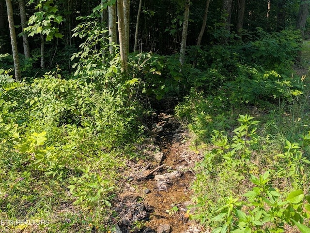 0 Cheyenne Dr, Jamestown, TN 38556
