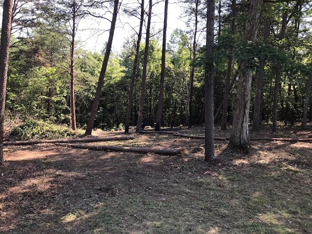 0 Countryside Dr, Dunlap, TN 37327 - photo 4