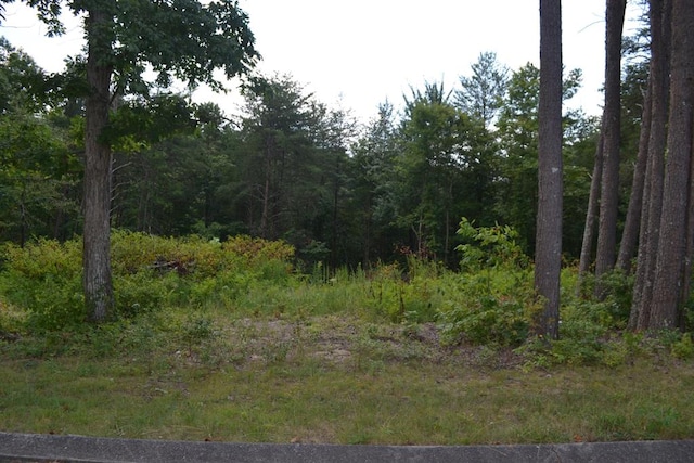 0 Countryside Dr, Dunlap, TN 37327 - photo 1