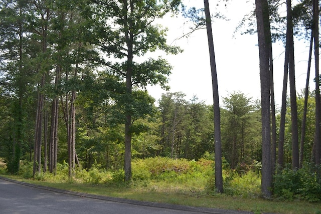 0 Countryside Dr, Dunlap, TN 37327 - photo 3
