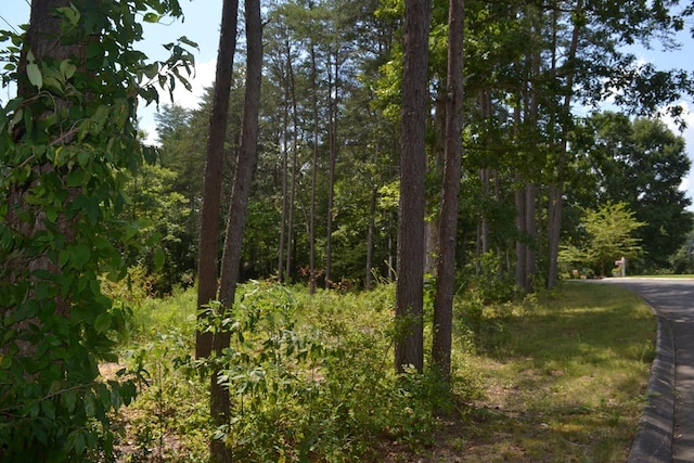 0 Countryside Dr, Dunlap, TN 37327 - photo 6
