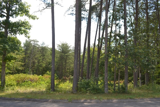 0 Countryside Dr, Dunlap, TN 37327 - photo 2