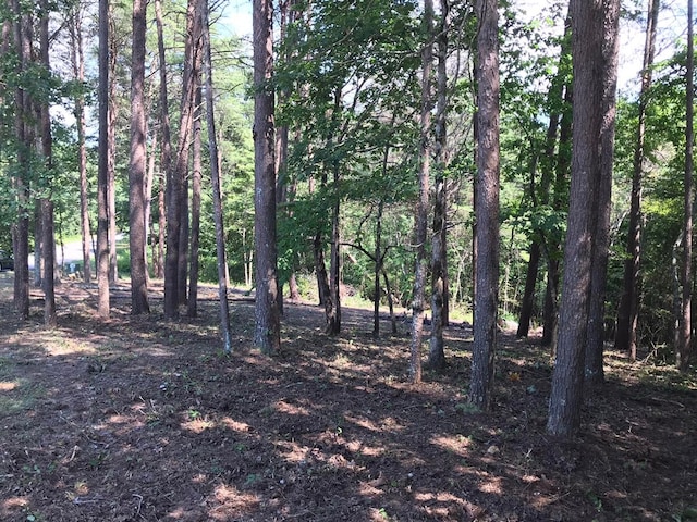 0 Countryside Dr, Dunlap, TN 37327 - photo 5