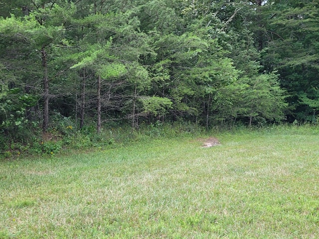 Listing photo 2 for LOT9 Long Branch Rd, Spencer TN 38585