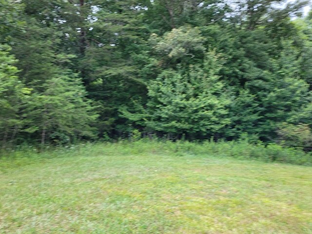 Listing photo 3 for LOT9 Long Branch Rd, Spencer TN 38585