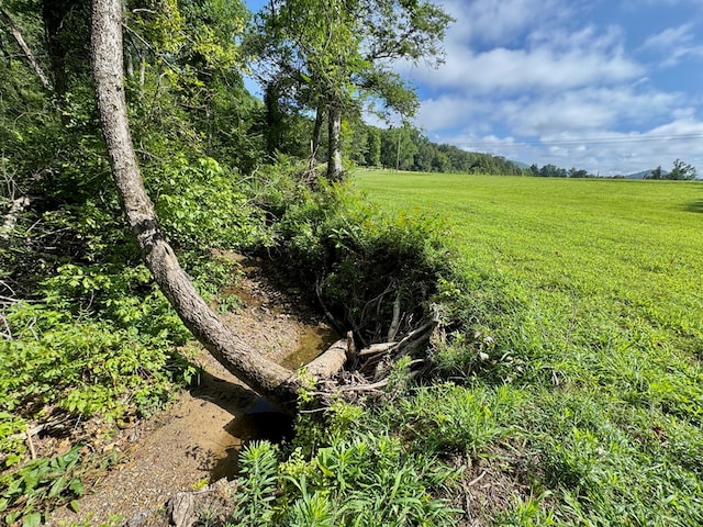 46326 US-127 S, Pikeville, TN 37367 - view of undeveloped land