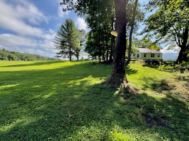 46326 US-127 S, Pikeville, TN 37367 - view of grassy yard