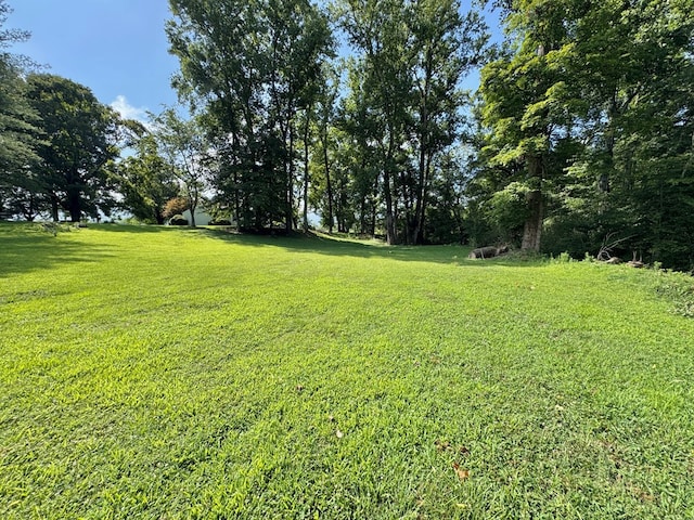 46326 US-127 S, Pikeville, TN 37367 - view of grassy yard