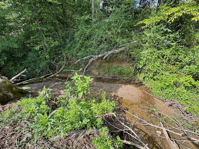 46326 US-127 S, Pikeville, TN 37367 - view of nature