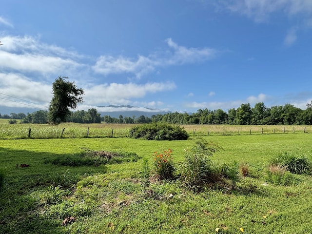 46326 US-127 S, Pikeville, TN 37367 - view of undeveloped land with rural landscape