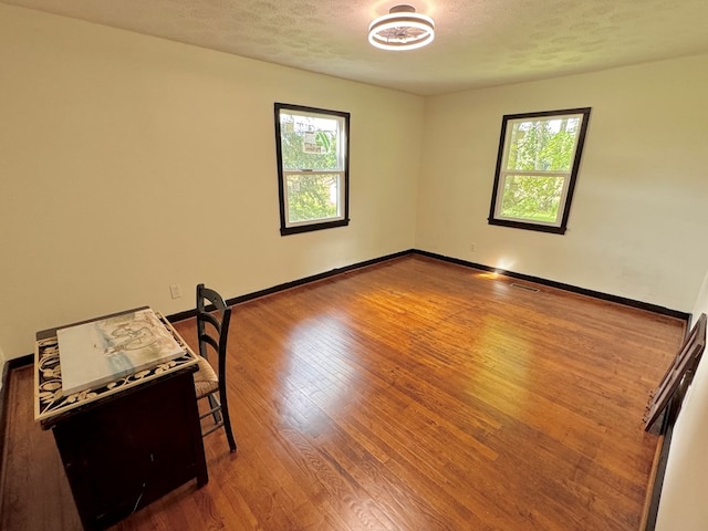 46326 US-127 S, Pikeville, TN 37367 - empty room featuring plenty of natural light, a textured ceiling, and wood finished floors