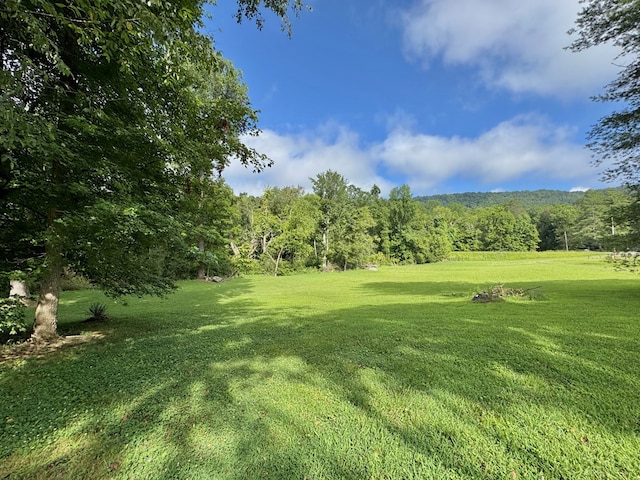 46326 US-127 S, Pikeville, TN 37367 - view of green lawn featuring a forest view