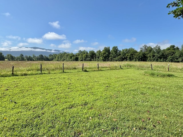 46326 US-127 S, Pikeville, TN 37367 - view of green lawn with a view of rural / pastoral area