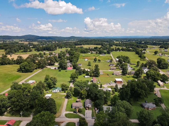 250 Mountain St, Doyle, TN 38559 - photo 3