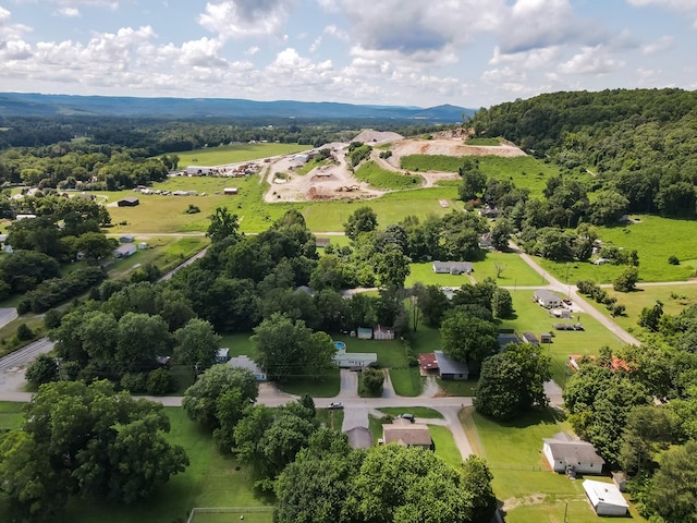 250 Mountain St, Doyle, TN 38559 - photo 4