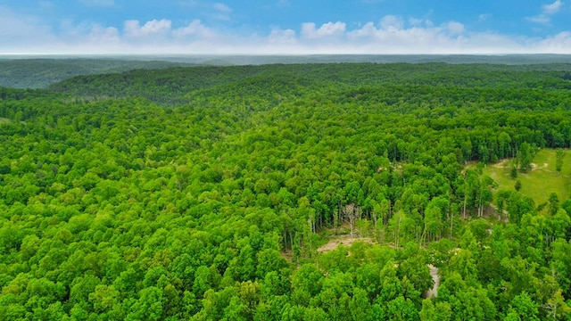 15.4AC Mt Helen Rd, Allardt, TN 38504